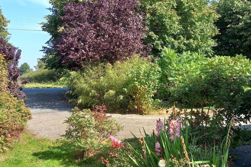 Millfields Cottage And Garden Goxhill  Exteriör bild